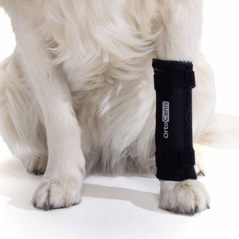 Ortocanis - Carpal Support for Dogs with Arthrosis, Ligament Injuries