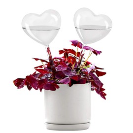 KiKiHeim Plant Waterer Self Watering Globes, Hand Blown Clear Glass Plant Watering Globes, Water Bulbs for Indoor Outdoor Plant, 2 Hearts