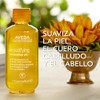 Aveda Beautifying Composition Oil | Aceite revitalizante