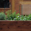Relaxdays 150 x Plant Stakes, H x D 30 x