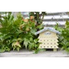 Fallen Fruits WA44 Beehive Bee House, Green, 6"H