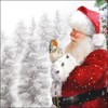 Ambiente Papierservietten Lunch/Party/ca. 33x33cm Telling Robin - Weihnachten - ideal als Geschenk und Dekoration