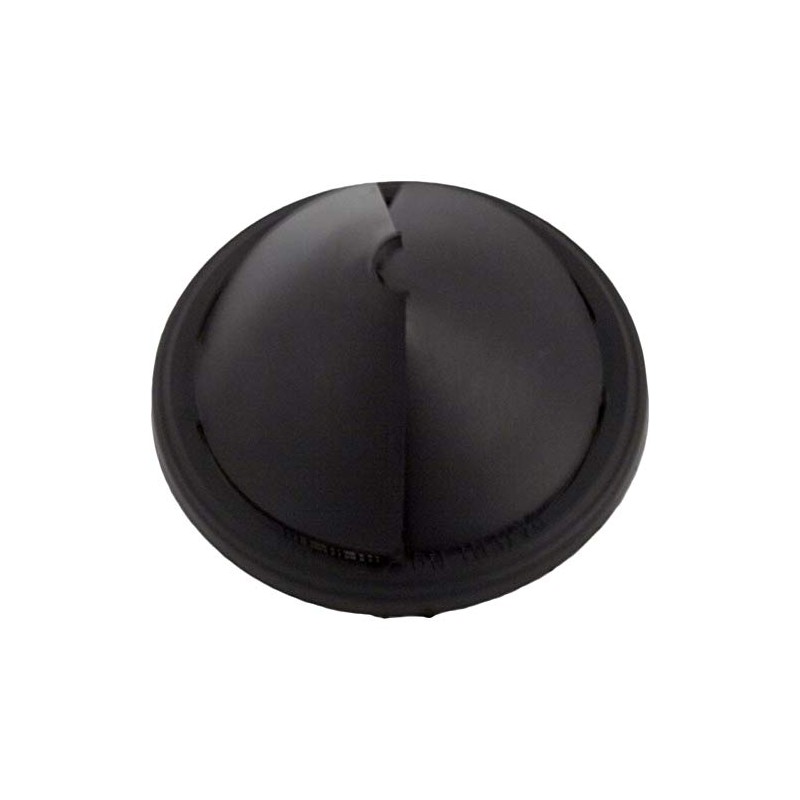 Pentair Debris Valve, Letro Legend Cleaners