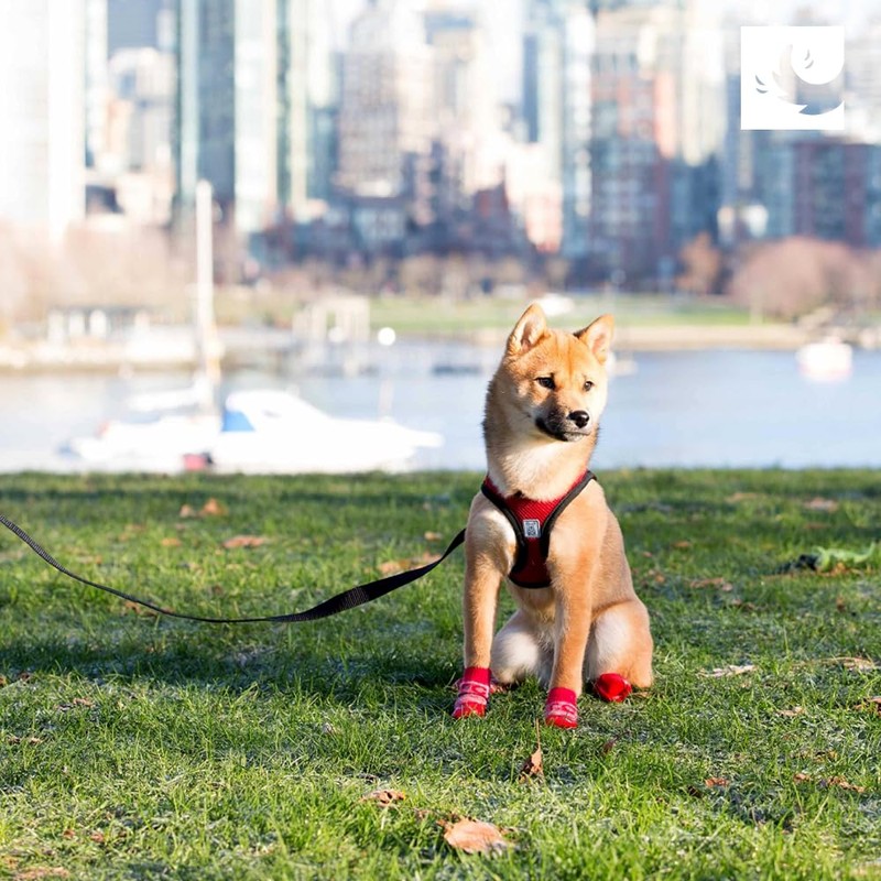 RC Pets Step in Cirque Harness S Camo