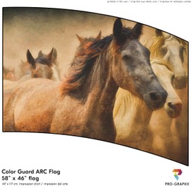 Pro-Graphx - Color Guard Practice Flags, Marching Band Flags, Curved Rectangle Indoor Competition, Performance ARC Flag, Vibrant Colors, Made in USA, Durable Polyester Silk PGF50- Horses