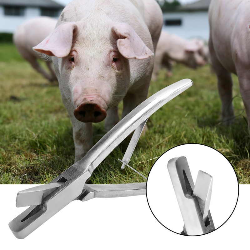 Stainless Steel Pig Ear Tag Plier Pig Equipment Farm Animals