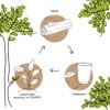Biozoyg Organic, Brown Cardboard Disposable Cup Lids for Organic Food