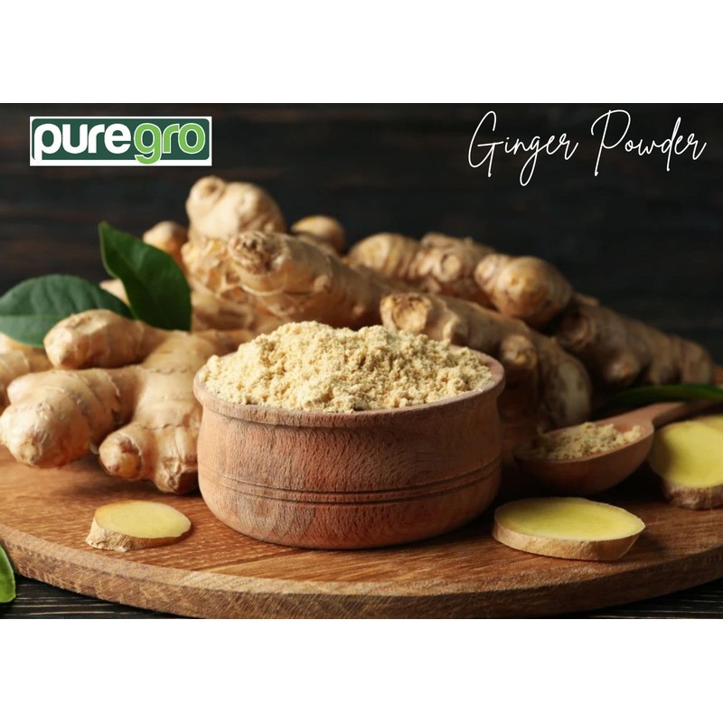 Puregro Ginger Powder 100g | PACK OF 1 | Ground