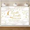 Leowefowa Gender Reveal Backdrop 7x5ft Twinkle Twinkle Little Star Banner