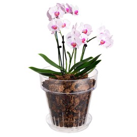 SUADEN 4.3 Inch Clear Acrylic Planter Pot with Tray,Orchid Pot with Drainage Holes,Side Holes for Hanging,Twist-Lock Saucer for Easy Moving, Transparent Containers for Indoor Plants Herbs
