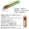 Big Bait Hi-Low 200F Parrot AHHILO200F-PARRT