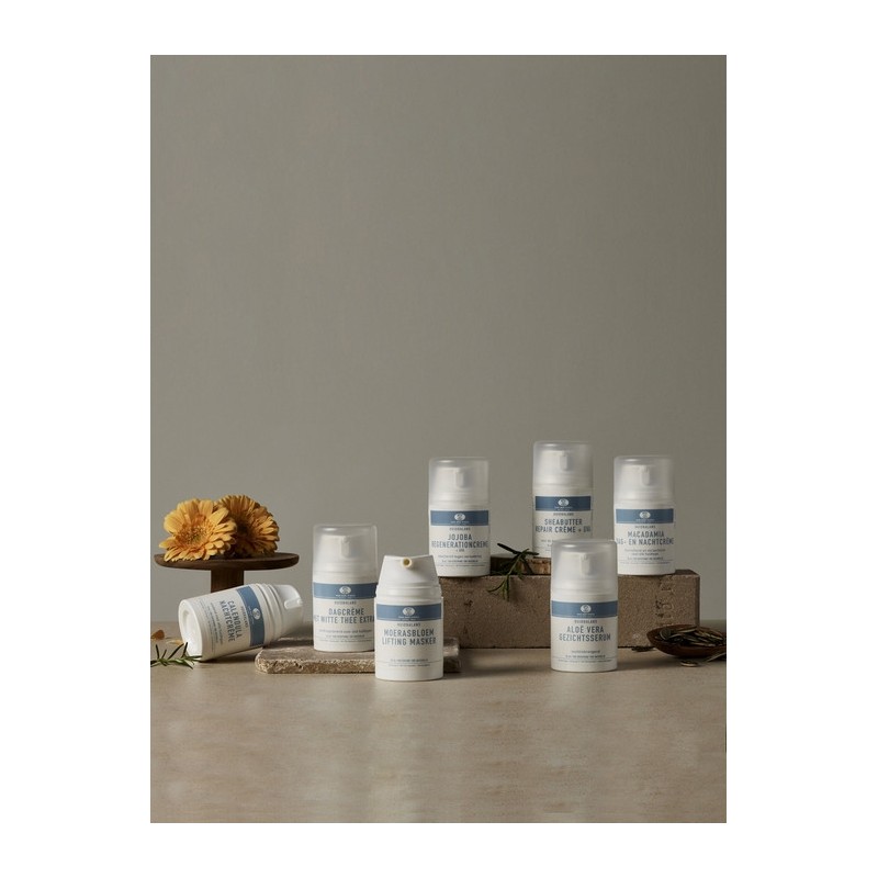 Calendula Night Soothing Care Cream 50ml / 칼렌듈라 나이트 진정