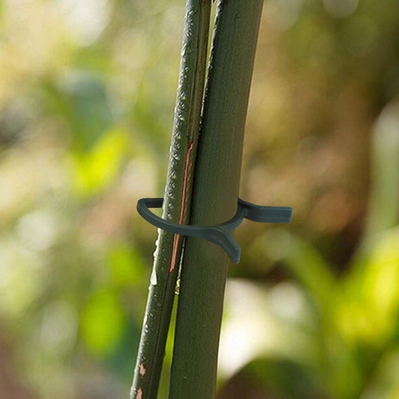 Hapyearn Pack of 100 Plant Clips, Plant Clips, Tomato Clips,
