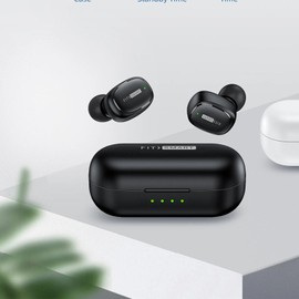 FitSmart in Ear Buds with Charging Case - True Wireless Earphones, 8 Hours Playtime, Comfort Fit, IPX6 Waterproof, Bluetooth V5.1, Black