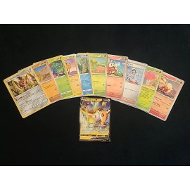 Pokémon Mystery Pack!! 10 Holo-Foil/Reve