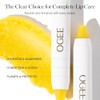 Ogee Sculpted Lip Oil â€" Organic & Natural Lip Primer,