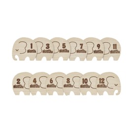 Kate & Milo Wooden Milestone Props, Baby Monthly Photo Discs, Newborn Keepsake Photos, New and Expecting Parents Gift, Elephant