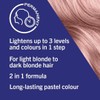 Schwarzkopf Live Lightener +Twist 101Cool Rose by Schwarzkopf