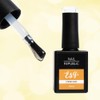 Esq. Base Gel, 0.3 fl oz (10 ml), Strong Base