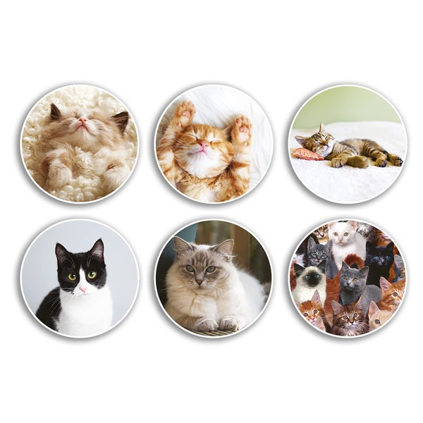 6 x 10cm Cats Vinyl Stickers - Animal Pets Fluffy