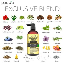 PURA D'OR 16 Oz Advanced Therapy Shampoo Reduces Hair Thinning & Increases Volume, No Sulfate, Biotin Shampoo Infused with Argan Oil, Aloe Vera for All Hair Types, Men & Women