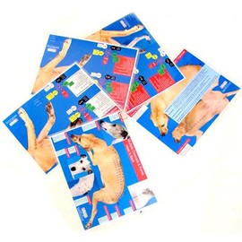 Canine Multiple Channel Charts