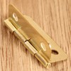 dophee 20 Pack Gold Small Hinges, Mini Retro Box Hinges