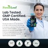 Forestleaf Suplemento de Nad+: 500 Mg de Nad Plus Puro