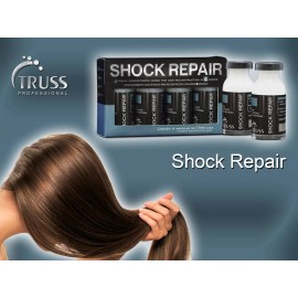 TRUSS PROFESSIONAL Shock Repair (1 BOX WITH 4 UNITS) – 17ML/0.57FL.OZ