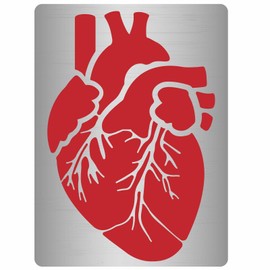 GORGECRAFT 19 x 14 cm Large Heart Metal Stencil Human Body Inner Organs Stainless Steel Stencils Drawing Template Reusable for Painting Scrapbook Engraving Wood Burning Pyrography DIY Art