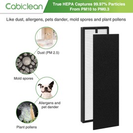 Cabiclean Replacement Filter for Eureka NEA120 Air Purifier and for Toshiba Smart WiFi Air Purifier - 2 Pack NEA-F1 True HEPA Filter with 8 Pack NEA-C1 Activated Carbon Filter
