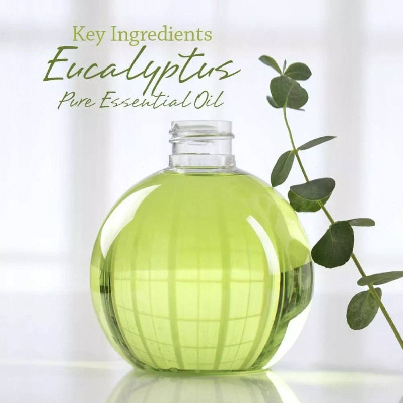 Undisclosed VIOIS, Eucalyptus Aromatherapy Eco Soy Candle