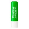 Balsamo Labios Vaselina Lip Therapy Aloe Vera Vaseline