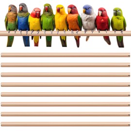 Sintuff 8 Pcs Bird Perches for Cage Accessories, Wooden Perch Rods Replacement with Double Head Slots, 0.6 Inch Diameter Natural Wood Stand for Parrot Macaw Cockatoo Parakeet (18 Inches)