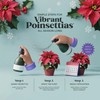 GARDENERA Premium Ready-to-Use Poinsettia Fertilizer Spray - Premixed 3-1-2 Formula