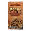 Hongo Cola de Pavo Herbolaria Saludable 60 Cápsulas Suplemento Nutricional