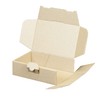 100 Maxi Letter Boxes 160 x 110 x 50 mm