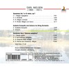 Nielsen: Symphonies Nos.1 & 6, Andante Tranquillo