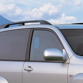 TBVECHI Roof Rack Leg Cover for Original Car Luggage Rack, 4Pcs Black ABS Roof Rack Bar Rail End Protection Cover Shell for Toyota Land Cruiser Prado Fj120 2003-2009