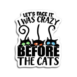 Crazy Cat Lady Magnet for Refrigerator Locker Toolbox Car White Board Ammo Can - 5 Inches at Largest Point - KCM3058