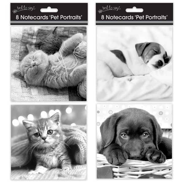 Tallon Just to Say Large Square Note Cat/Dog Card (Box