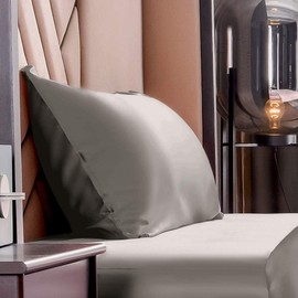 THXSILK 100% Silk Pillowcase for Hair and Skin, Soft Smooth Cooling Pillow Cover with Hidden Zipper, Both Sides Pure Silk, Gift for Women Men 1 pc(Queen, Charcoal)