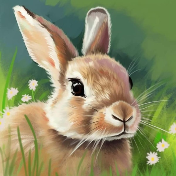 Bimkole DIY 5D Diamond Painting Kits Accessories Cute Rabbit, Animal