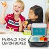 Slim Ice Blocks, Quick Freeze, Long Lasting - Freezer Cold