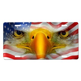 onestopairbrushshop Eagle License Plate