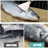 Fish Scaler, Fish Scaler Stainless Steel Remover, Fish Scaler, Professional