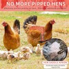Chicken Saddles for hens, Chicken Apron Back Protector for Hens