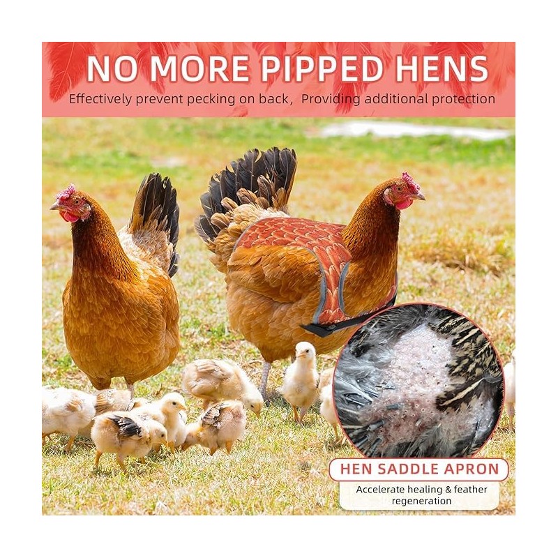 Chicken Saddles for hens, Chicken Apron Back Protector for Hens