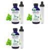PURA D'OR Peppermint Essential Oil 4oz 118ml 3 packs, 3 pieces / PURA D'OR 페퍼민트 에센셜 오일 4oz 118ml 3팩, 3개