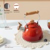 ROCKURWOK Tea Kettle, Tea Pot with Cool Touch Ergonomic Handle,